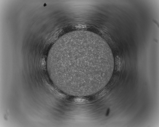 X0000102380614200808221803