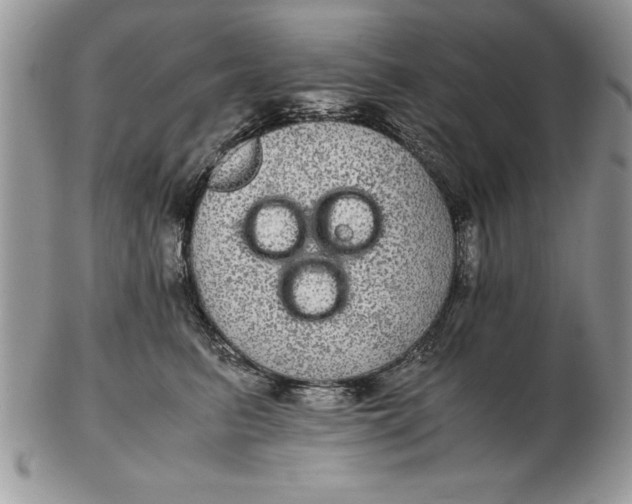 X0000102380615200808221803