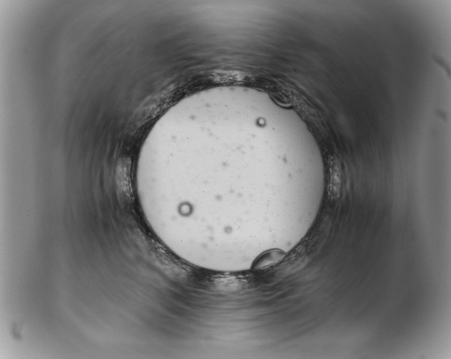 X0000102380616200808221803