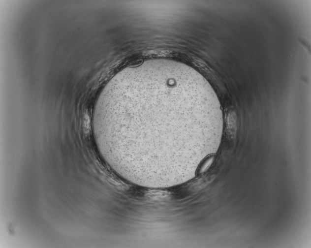 X0000102380617200808221803