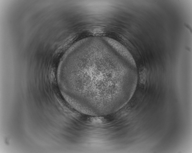 X0000102380618200808221803