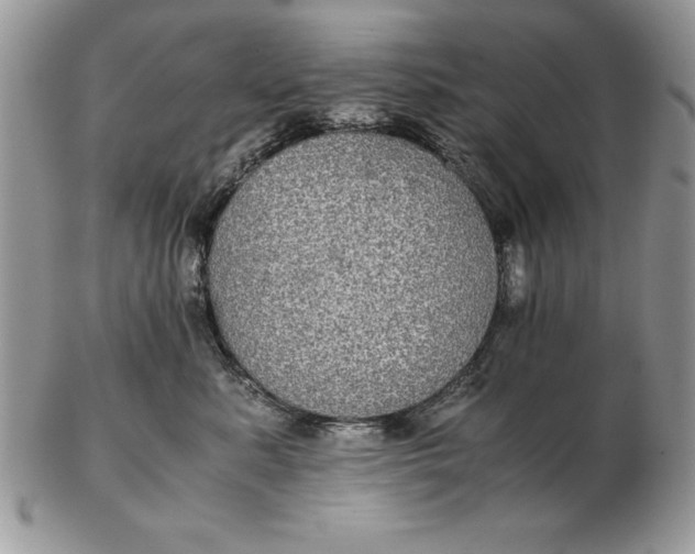 X0000102380619200808221803