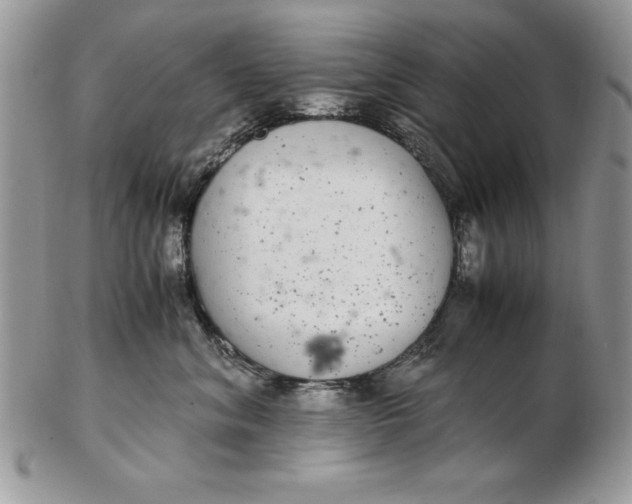 X0000102380620200808221803