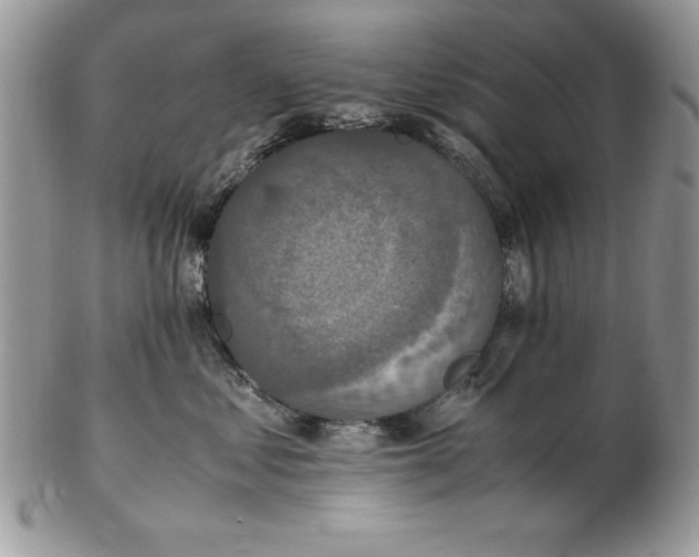 X0000102380621200808221803