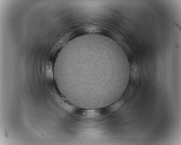 X0000102380622200808221803