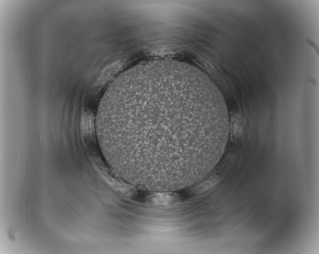 X0000102380623200808221803