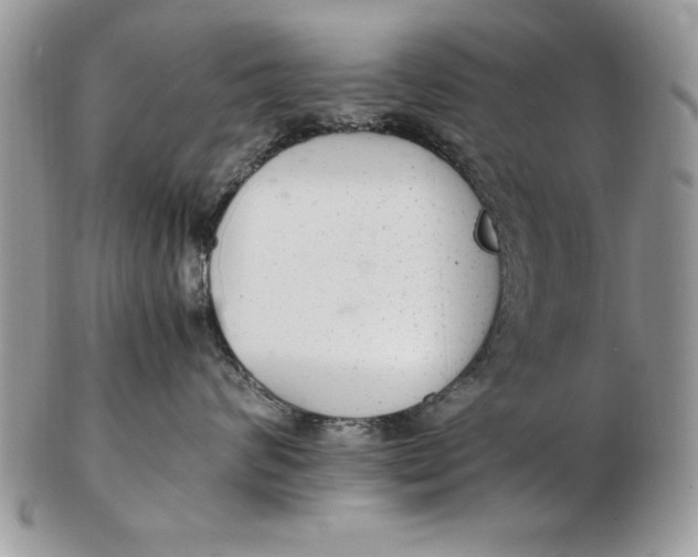 X0000102380624200808221803