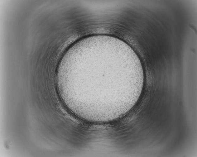 X0000102380625200808221803