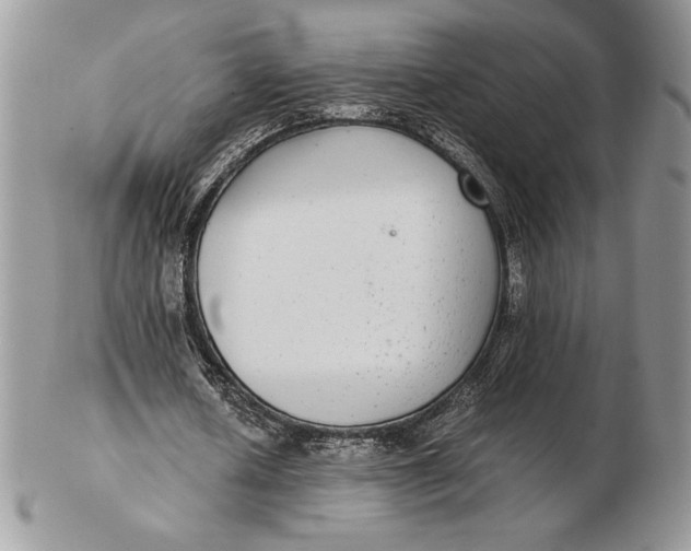 X0000102380626200808221803