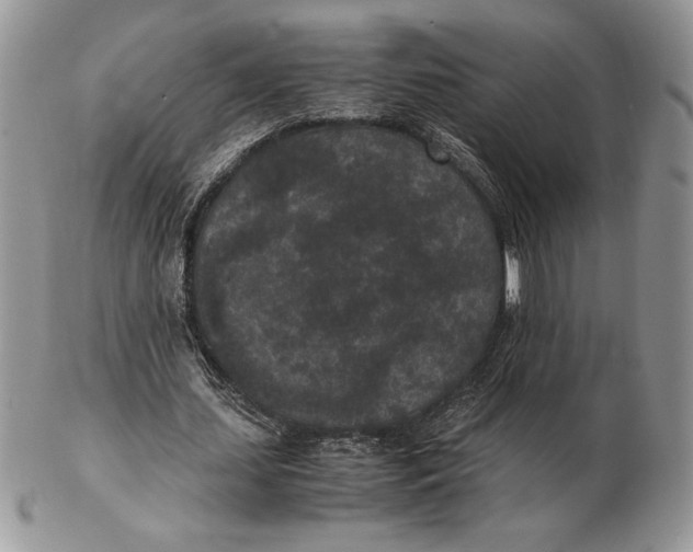 X0000102380627200808221803