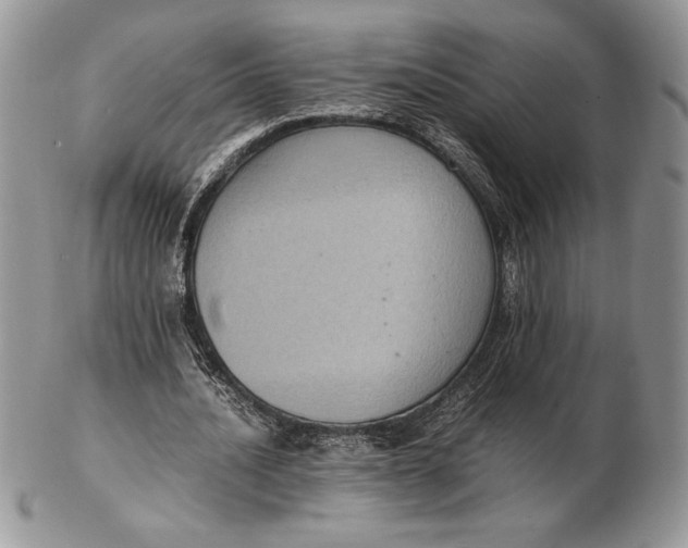 X0000102380628200808221803