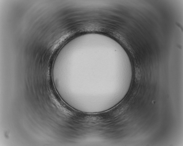 X0000102380629200808221803