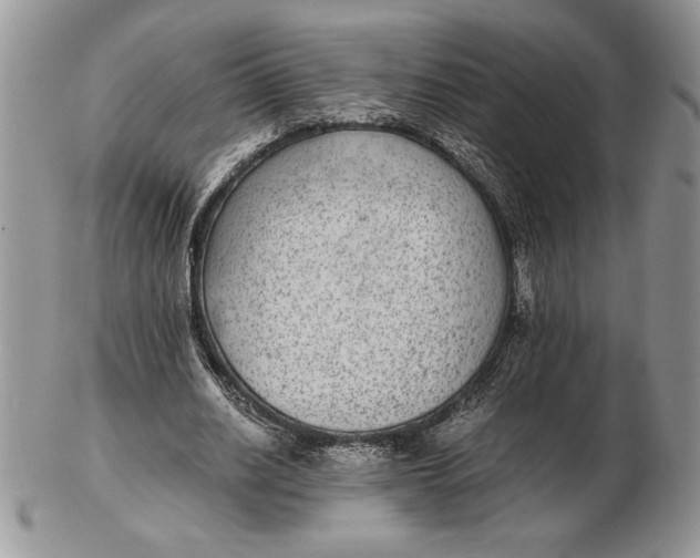 X0000102380630200808221803