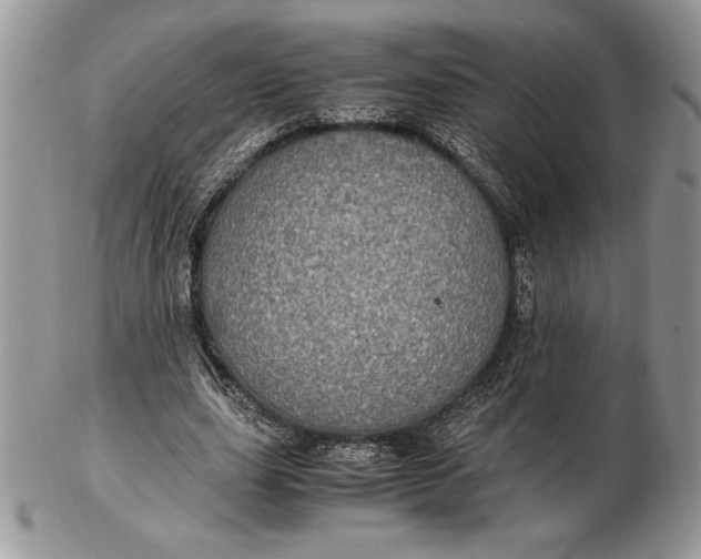 X0000102380631200808221803