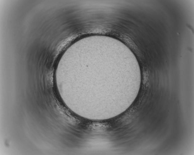 X0000102380632200808221803