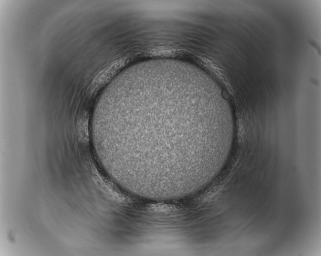 X0000102380633200808221803