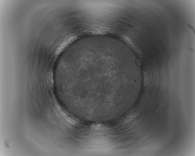 X0000102380634200808221803