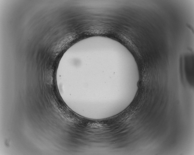 X0000102380635200808221803