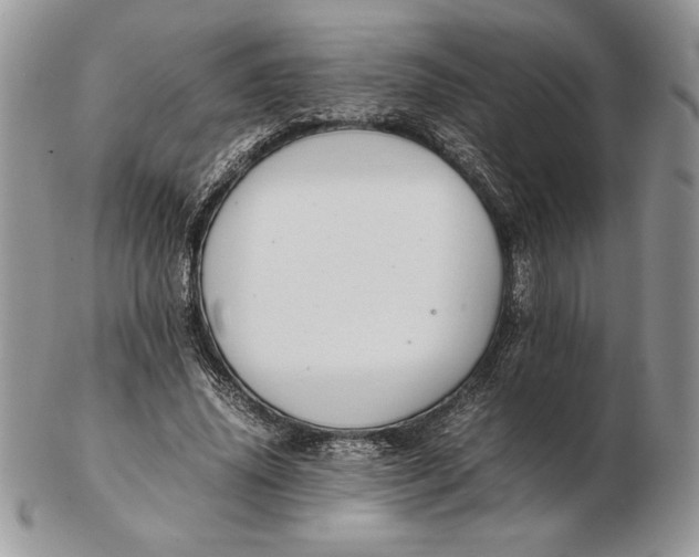 X0000102380636200808221803