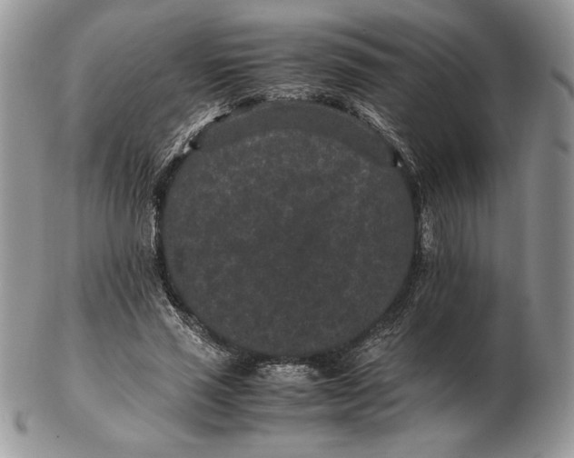 X0000102380637200808221803