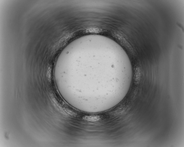 X0000102380639200808221803