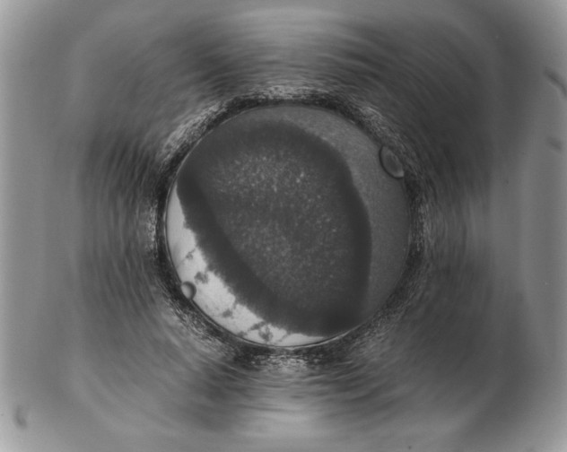 X0000102380640200808221803