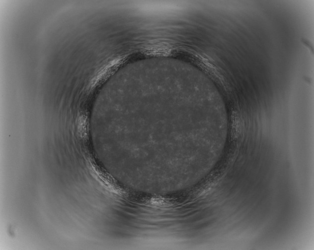 X0000102380641200808221803