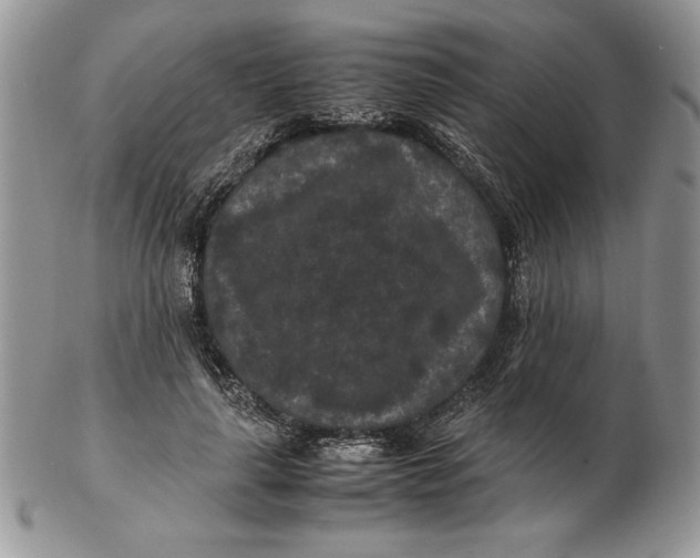 X0000102380643200808221803