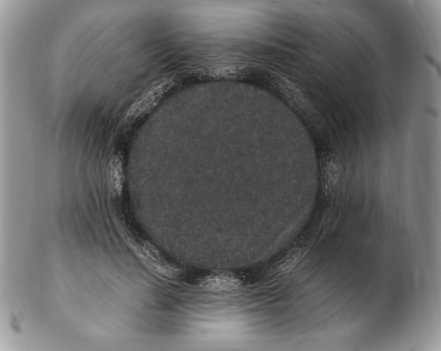 X0000102380644200808221803