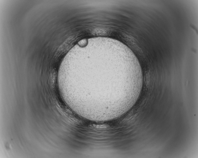 X0000102380645200808221803