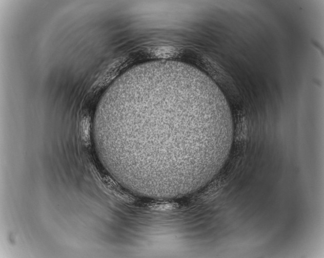 X0000102380646200808221803