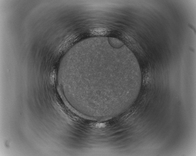 X0000102380647200808221803