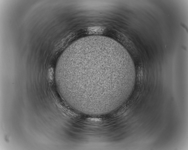 X0000102380649200808221803