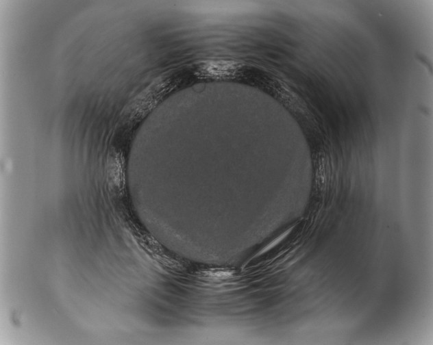 X0000102380651200808221803