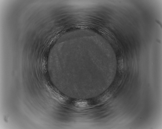 X0000102380653200808221803