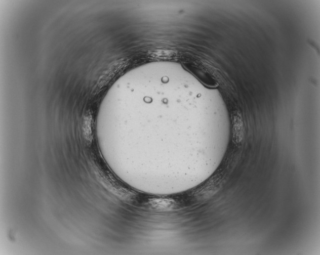 X0000102380654200808221803