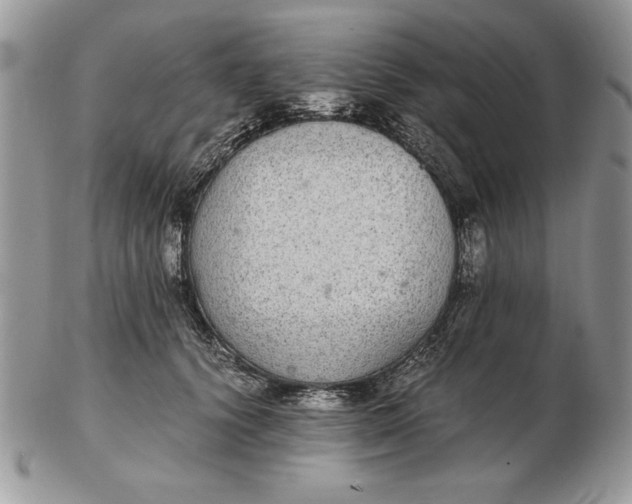 X0000102380656200808221803