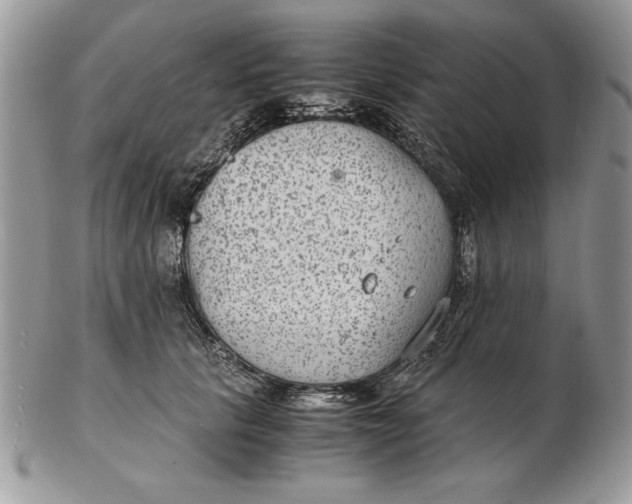 X0000102380657200808221803