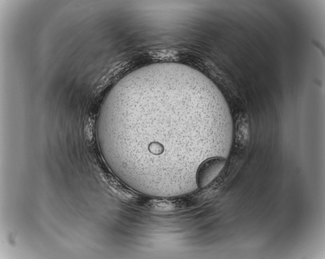 X0000102380658200808221803