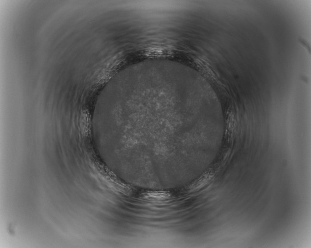 X0000102380659200808221803