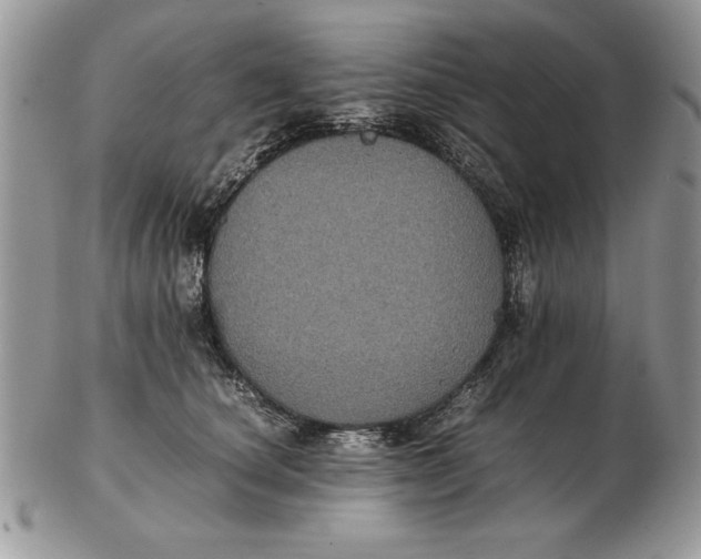 X0000102380660200808221803