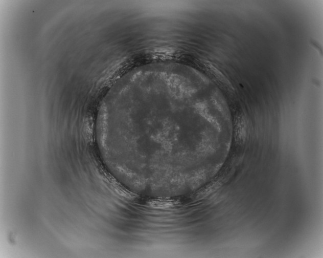 X0000102380661200808221803