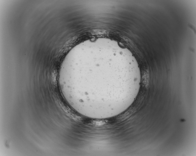 X0000102380662200808221803