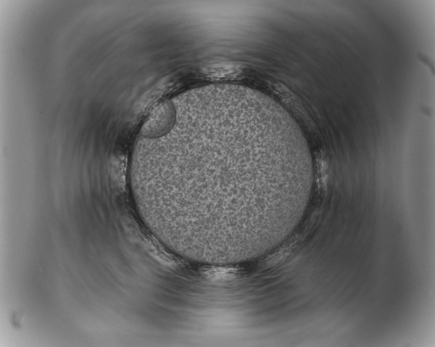 X0000102380664200808221803