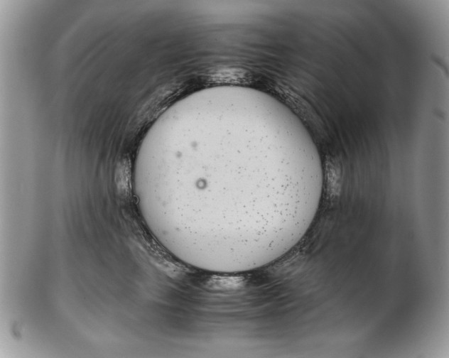 X0000102380665200808221803