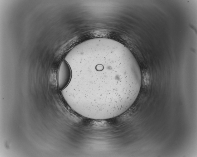 X0000102380666200808221803