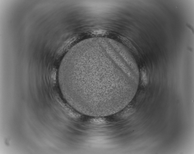 X0000102380668200808221803