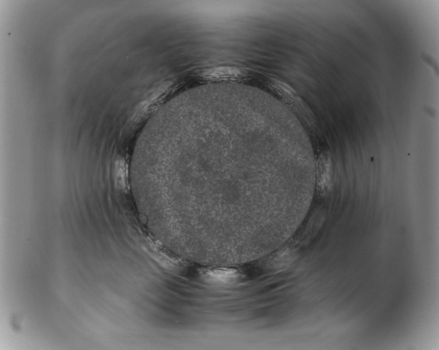 X0000102380669200808221803