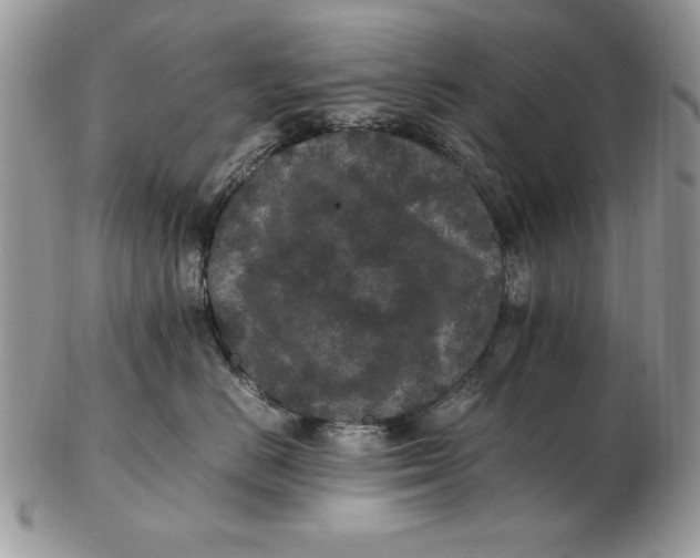 X0000102380670200808221803