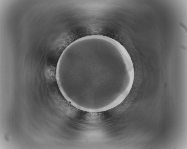 X0000102380672200808221803